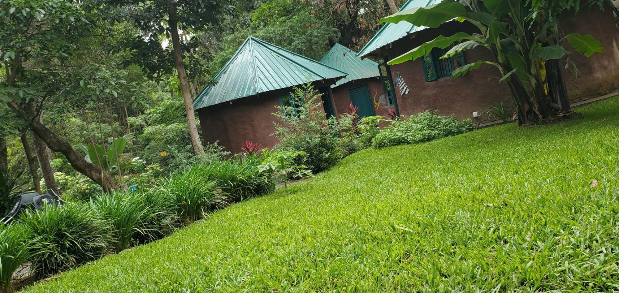 Hostel Kizumba House Arusha Exteriér fotografie